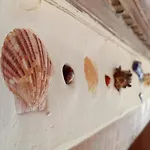 Hotel Dolphin Selimiye (Aegean)