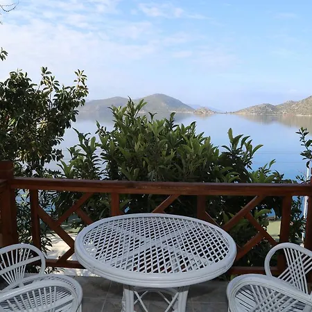 Dolphin 3* Selimiye