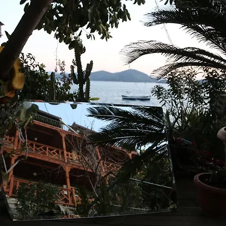 Hotel Dolphin 3*