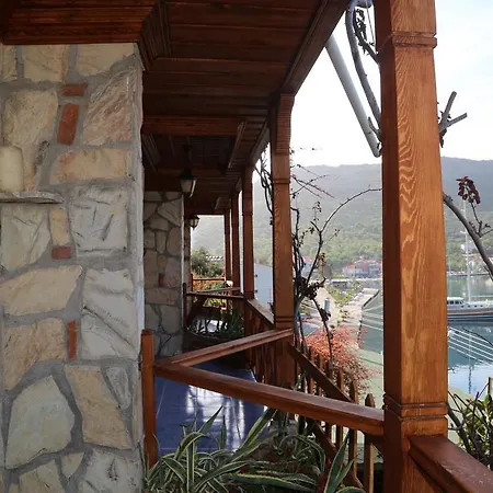 Dolphin Hotel 3*