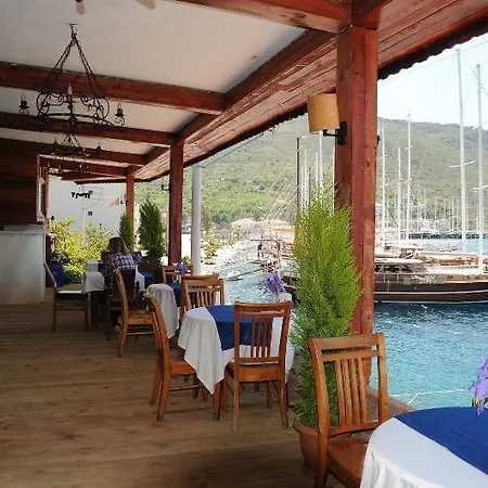 Dolphin Hotel