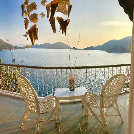 Dolphin Hotel