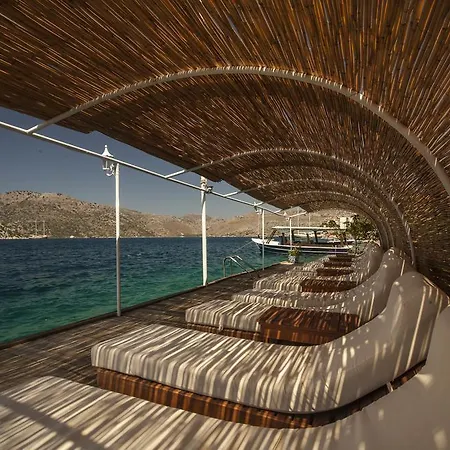 Dolphin Hotel 3*