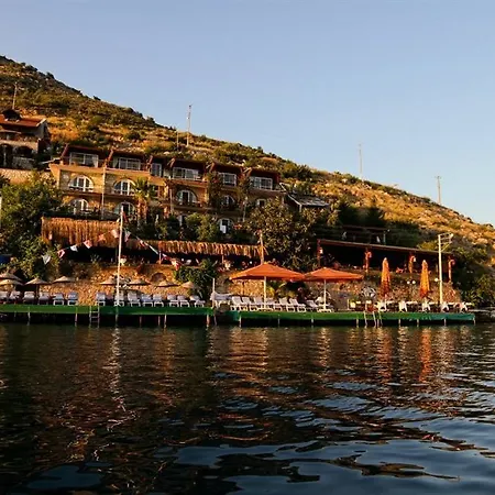 Dolphin Hotel