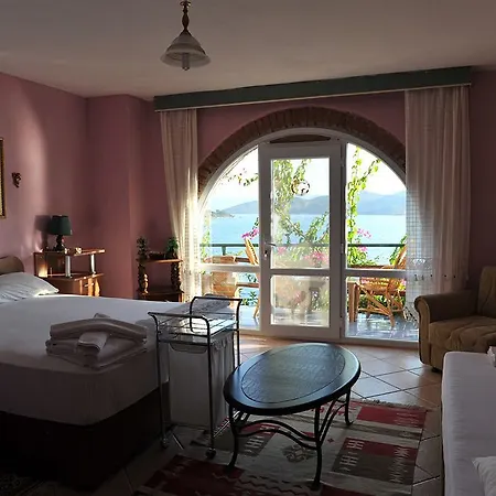 Dolphin Selimiye (Aegean)