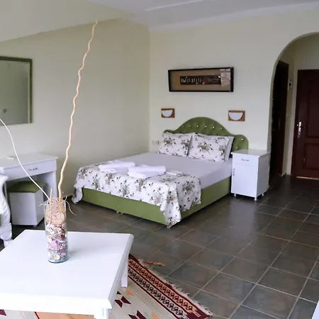 Dolphin Hotel