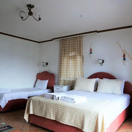 Hotel Dolphin 3*