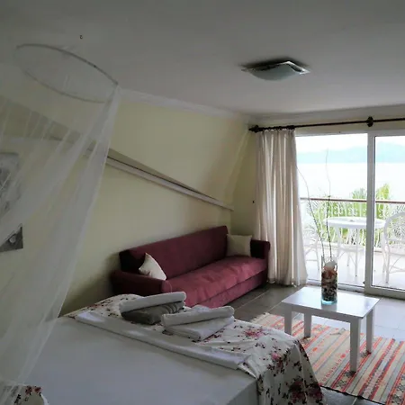 Hotel Dolphin 3*