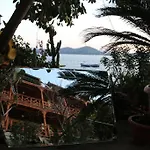 Hotel Dolphin 3*