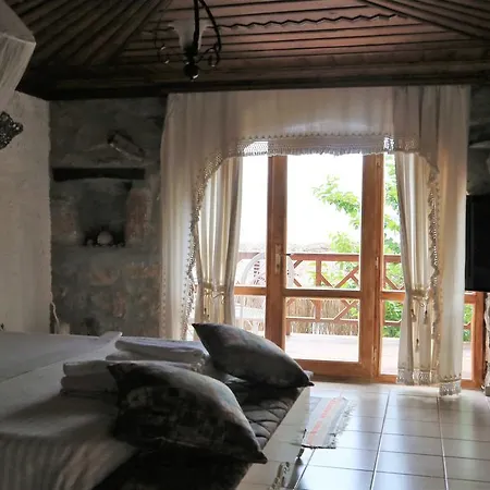 Dolphin Hotel 3*