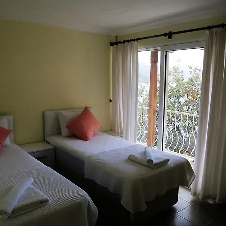 Hotel Dolphin 3*