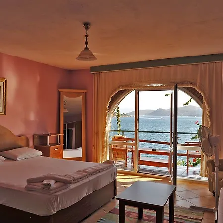 Dolphin Hotel 3*