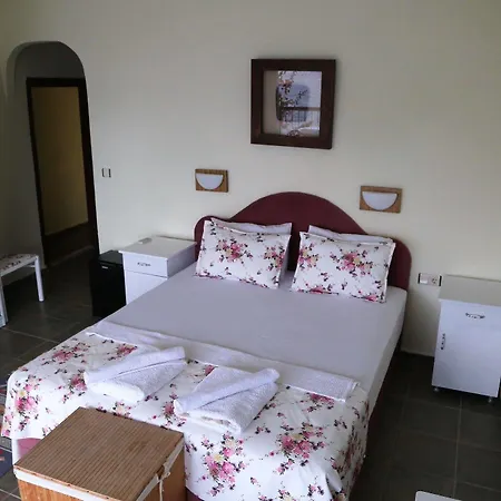 Dolphin Hotel 3*