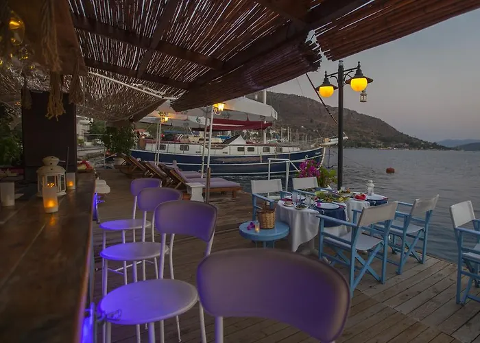 Dolphin 3* סלימייה