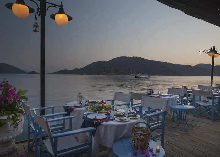 Dolphin סלימייה