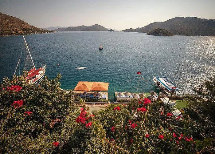 Dolphin סלימייה